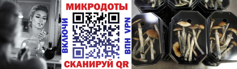 сайты даркнета состав  где продают   Лениногорск  Псилоцибиновые грибы MAGIC MUSHROOMS 