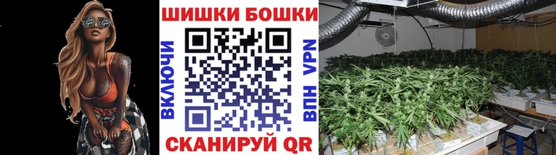 купить наркоту  Лениногорск  Шишки марихуана тримм 
